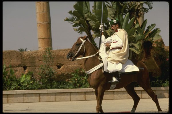 229029 Mounted Royal Palace Guard, Rabat A4 Photo Print