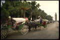 229058 Horse Carriages For Hire In Central Marrakesh A4 Photo Print