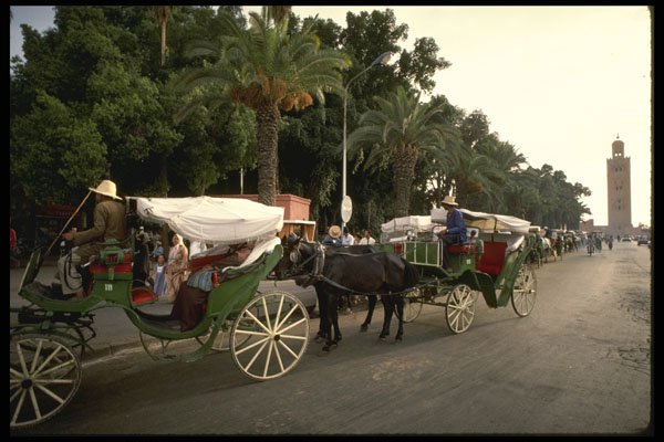 229058 Horse Carriages For Hire In Central Marrakesh A4 Photo Print