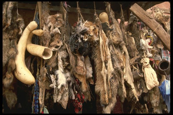 229066 Magical Potions And Objects, Marrakesh Bazaar A4 Photo Print