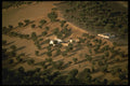 229091 Olive Groves, Fez Countryside A4 Photo Print