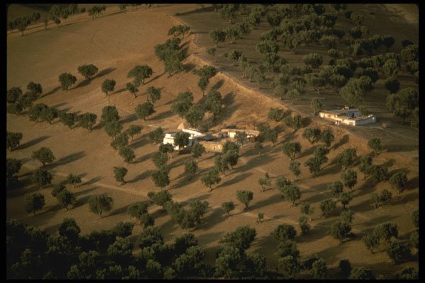 229091 Olive Groves, Fez Countryside A4 Photo Print