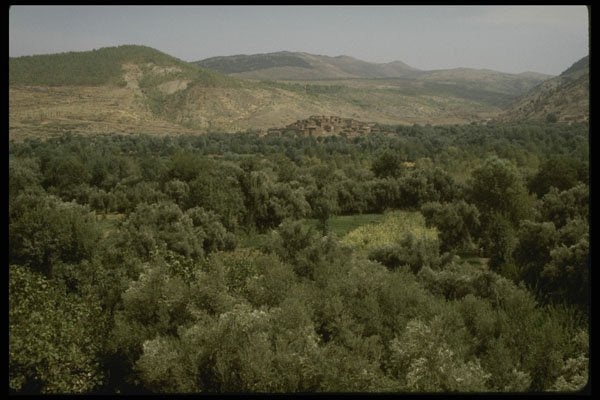 229092 Forested Ourika Valley, Morocco A4 Photo Print