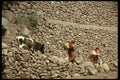 229094 Colorful Ourika Valley Farm Women A4 Photo Print