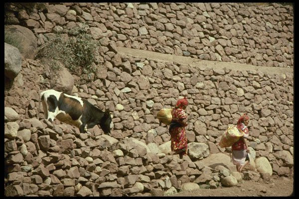 229094 Colorful Ourika Valley Farm Women A4 Photo Print