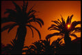 229099 Sunset, Moroccan Oasis A4 Photo Print