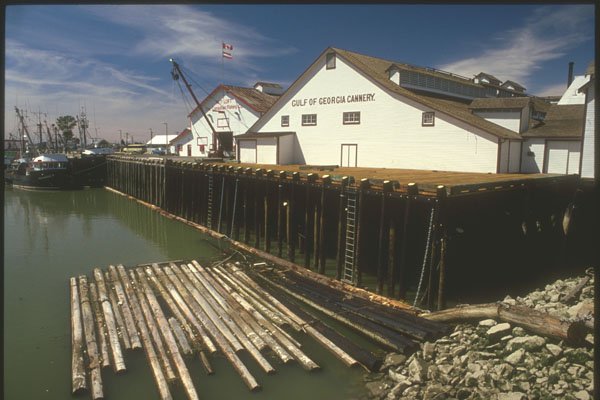 230001 Fish Cannery, Delta, British Columbia A4 Photo Print