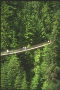 230009 Capillano Suspension Bridge, Vancouver A4 Photo Print