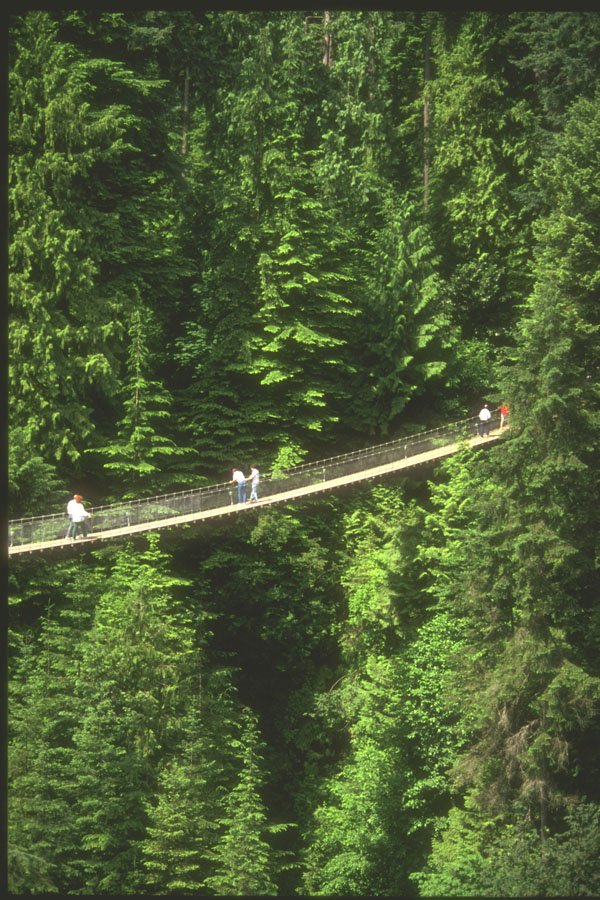230009 Capillano Suspension Bridge, Vancouver A4 Photo Print