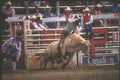 230012 Calgary Stampede Rodeo, Alberta A4 Photo Print