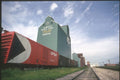 230016 Alberta Wheat Pool Grain Elevators, Alberta A4 Photo Print