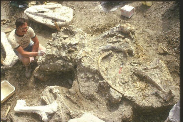 230017 Dinosaur Excavation, Badlands, Alberta A4 Photo Print