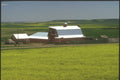 230025 Farm And Rapeseed Fields, Alberta A4 Photo Print