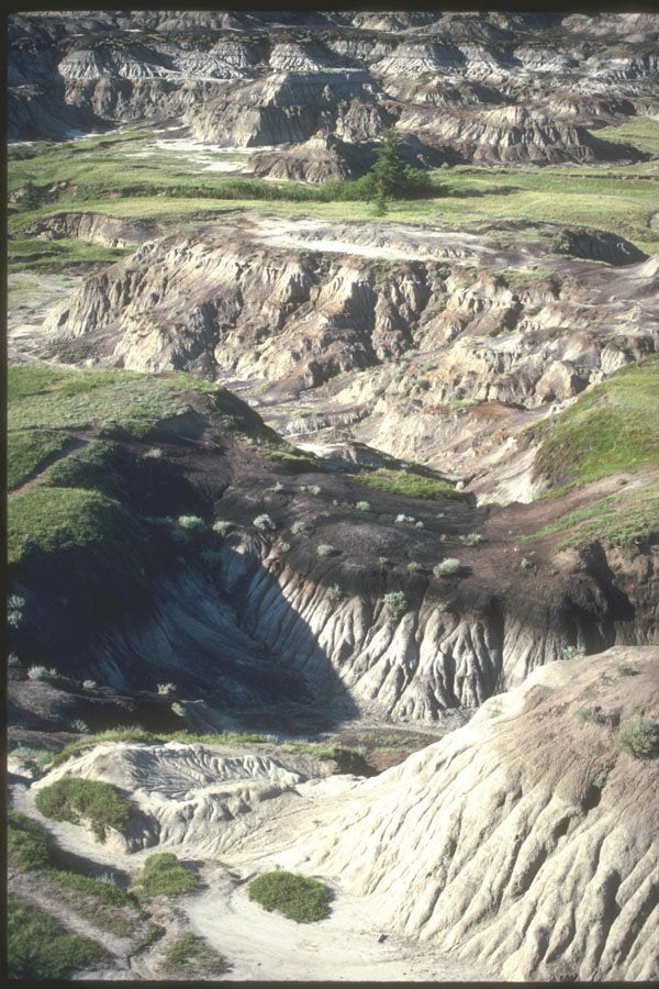 230026 Horseshoe Canyon, Badlands, Alberta A4 Photo Print