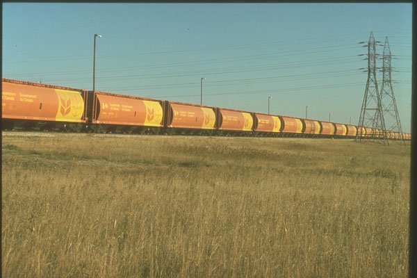 230035 CN Train And Federal Grain Cars, Saskatchewan A4 Photo Print