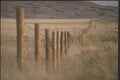 230037 Rural Fencepost Near Weyburn, Saskatchewan A4 Photo Print