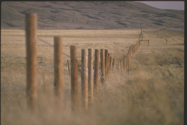 230037 Rural Fencepost Near Weyburn, Saskatchewan A4 Photo Print