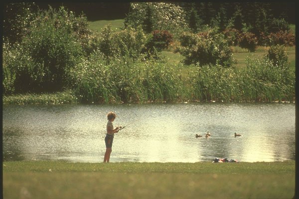 230045 Fishing On Lake Simcoe, Ontario A4 Photo Print
