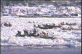 230054 Racing Boats, Quebec Carnival, Quebec A4 Photo Print