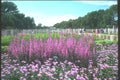 230062 Montreal Botanical Gardens, Quebec A4 Photo Print