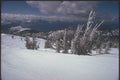 230072 Winter Snowscape, Mount Tremblant, Quebec A4 Photo Print