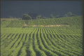 230081 Rural Cultivated Fields, New Brunswick A4 Photo Print