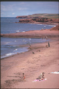 230092 Coastline On The North Shore, Prince Edward Island A4 Photo Print
