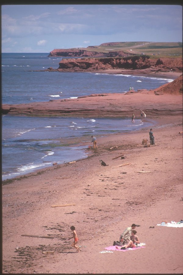 230092 Coastline On The North Shore, Prince Edward Island A4 Photo Print