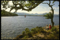 231002 Loch Lomond A4 Photo Print