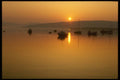 231010 Tobermory, Mull A4 Photo Print