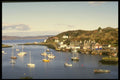 231023 Tarben A4 Photo Print