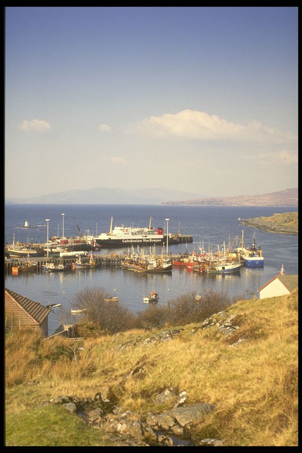 231028 Mallaig Harbor A4 Photo Print