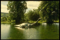 231033 Lochness Monster A4 Photo Print