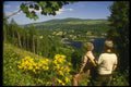 231055 Kenmove, Loch Tay A4 Photo Print