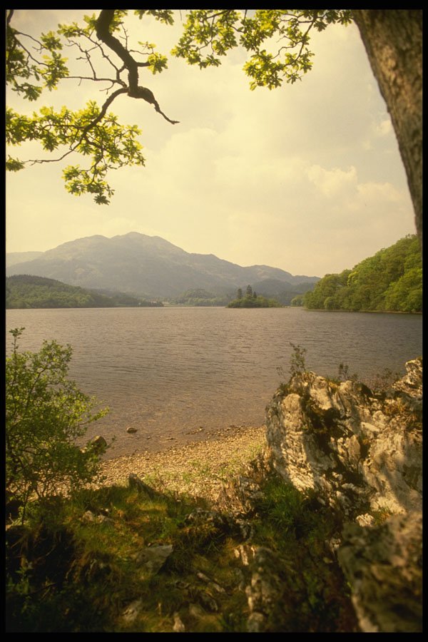 231060 Loch Venachar, The Trossachs A4 Photo Print