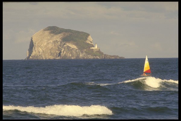 231064 Bass Rock, East Lothian A4 Photo Print