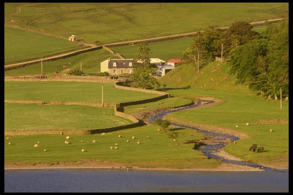 231065 Loch Of The Lowes A4 Photo Print