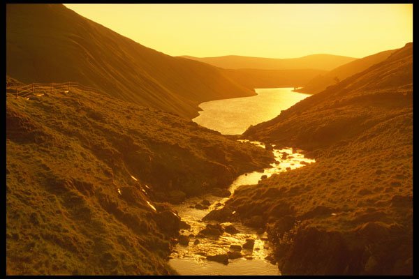 231071 Talla A4 Photo Print