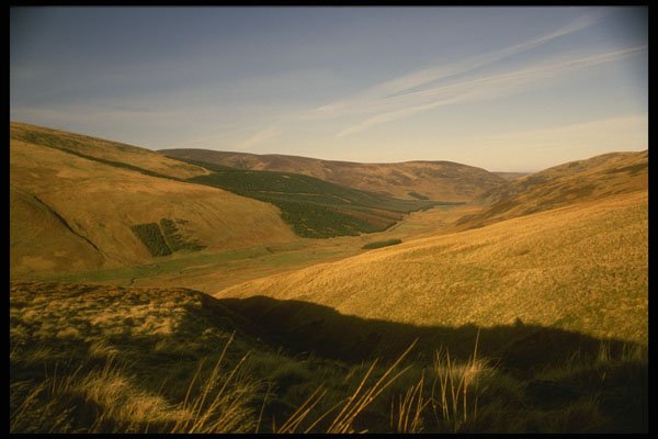 231072 Manorhead, Peebles, Shire A4 Photo Print