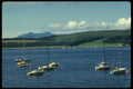231091 Largs A4 Photo Print