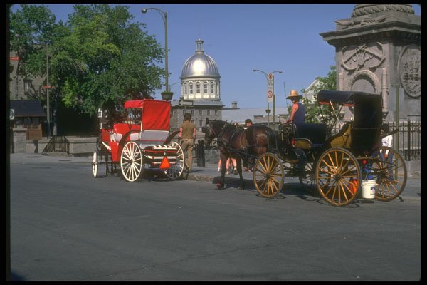 232007 Caleche, Place Jacques Cartier, Montreal A4 Photo Print