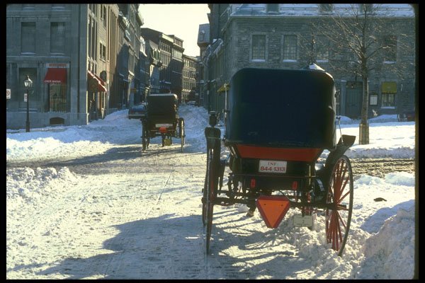 232014 Caleches, Place Jacques Cartier, Montreal A4 Photo Print