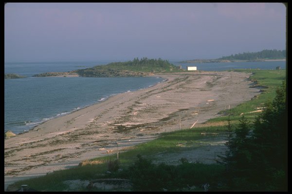 232045 Beach, North Shore A4 Photo Print