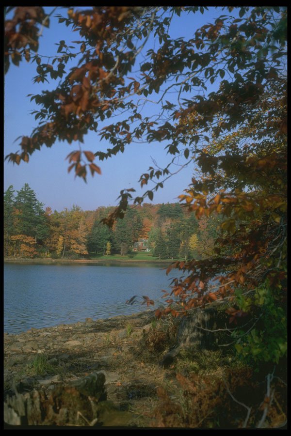 232061 Lac Du Moulin, St. Bruno A4 Photo Print