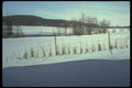 232065 Fences, St. Benoit A4 Photo Print