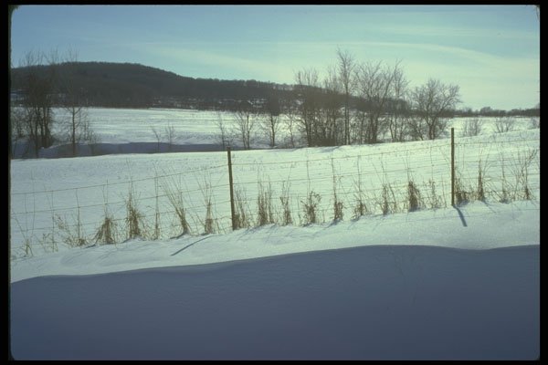 232065 Fences, St. Benoit A4 Photo Print