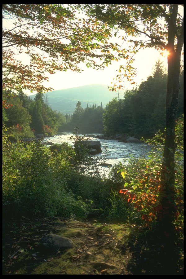 232077 Riviere Du Diable, Mont Tremblant Provincial Park A4 Photo Print