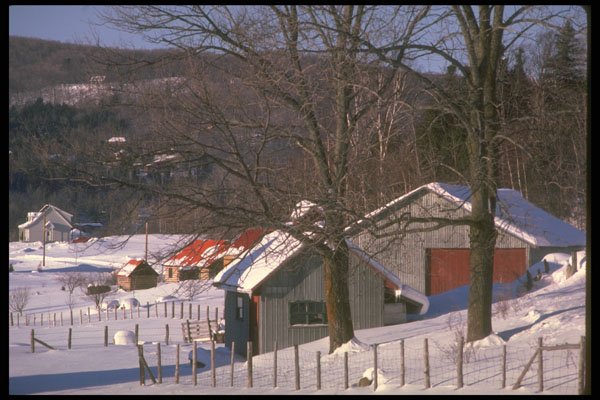 232079 Piedmont, Laurentian Mountains A4 Photo Print