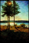 232082 Conifer Trees Beside Lac Normand, Parc St. Mauricie A4 Limited Edition Watercolour Print