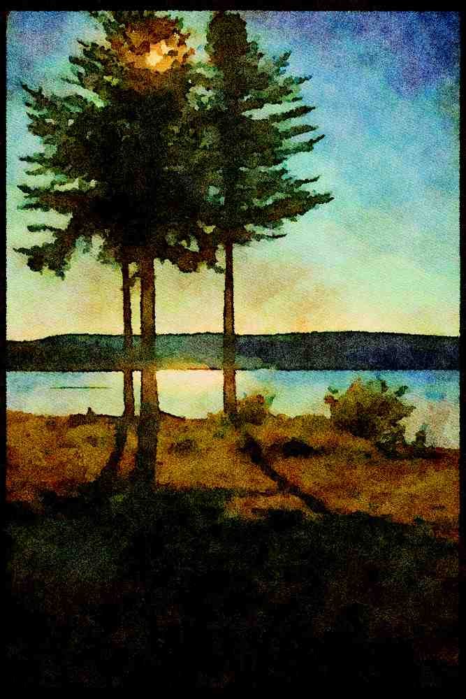232082 Conifer Trees Beside Lac Normand, Parc St. Mauricie A4 Limited Edition Watercolour Print